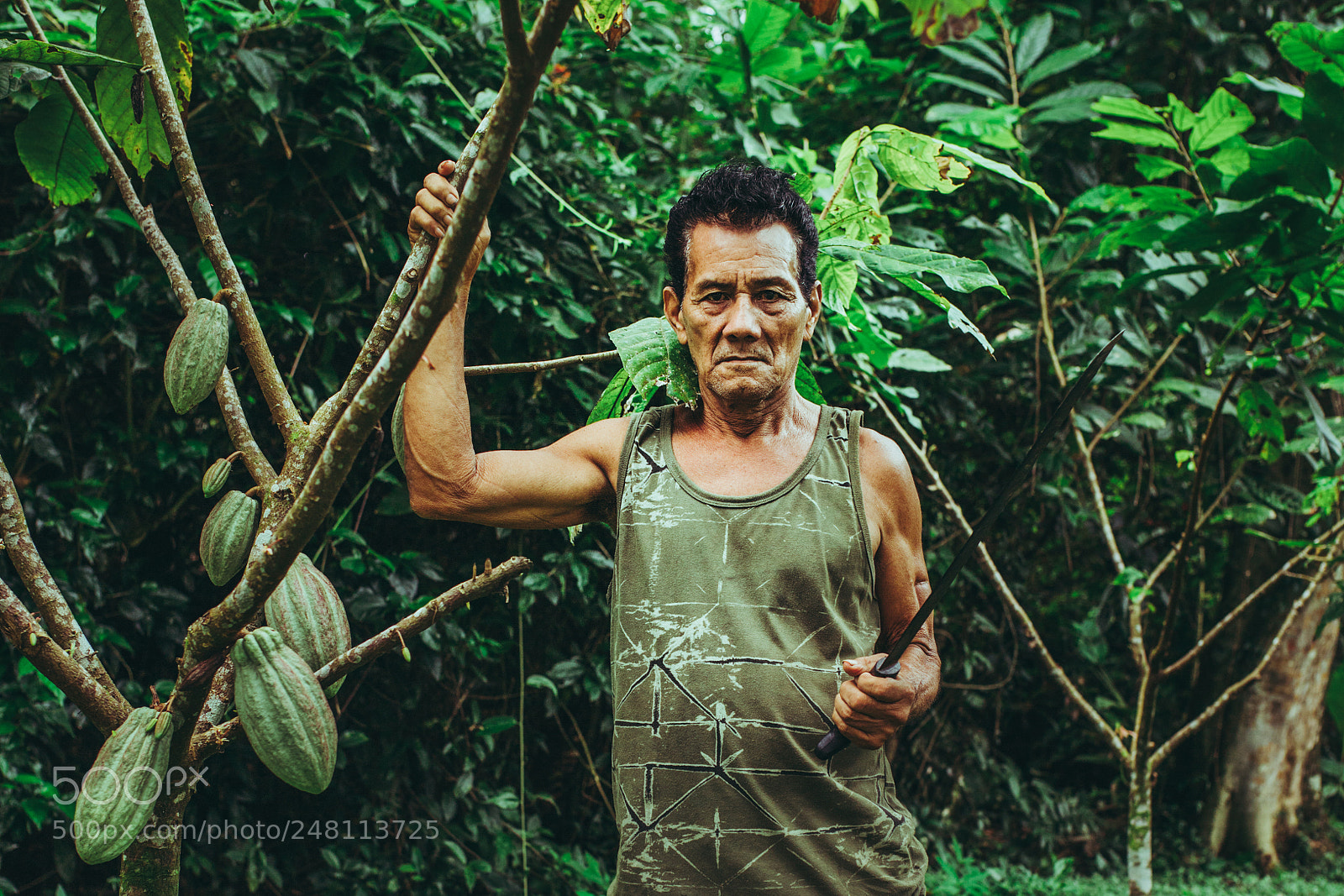 Canon EOS 6D Mark II sample photo. Cacao picker photography