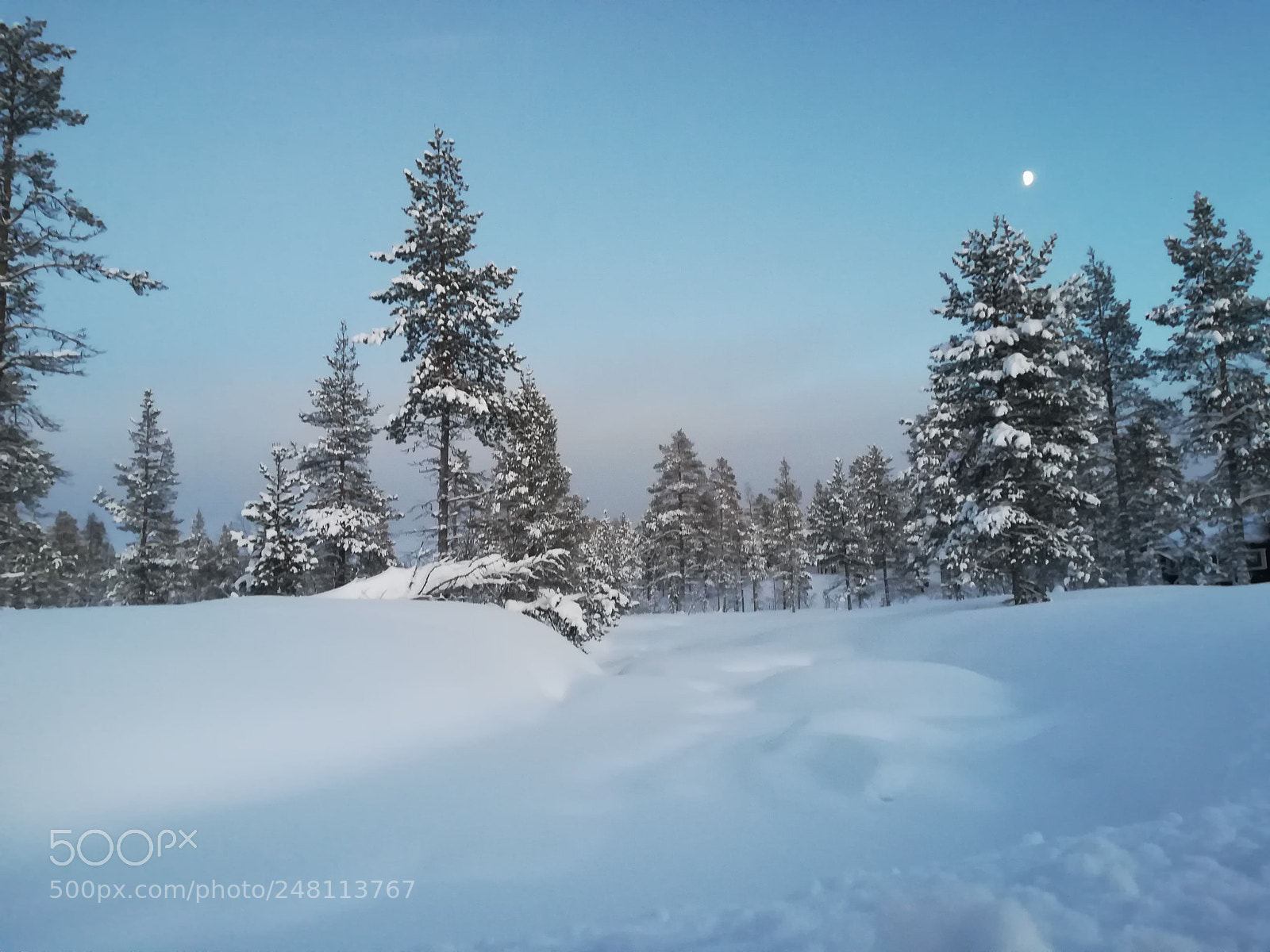 HUAWEI PRA-LX1 sample photo. Snowybeuty photography