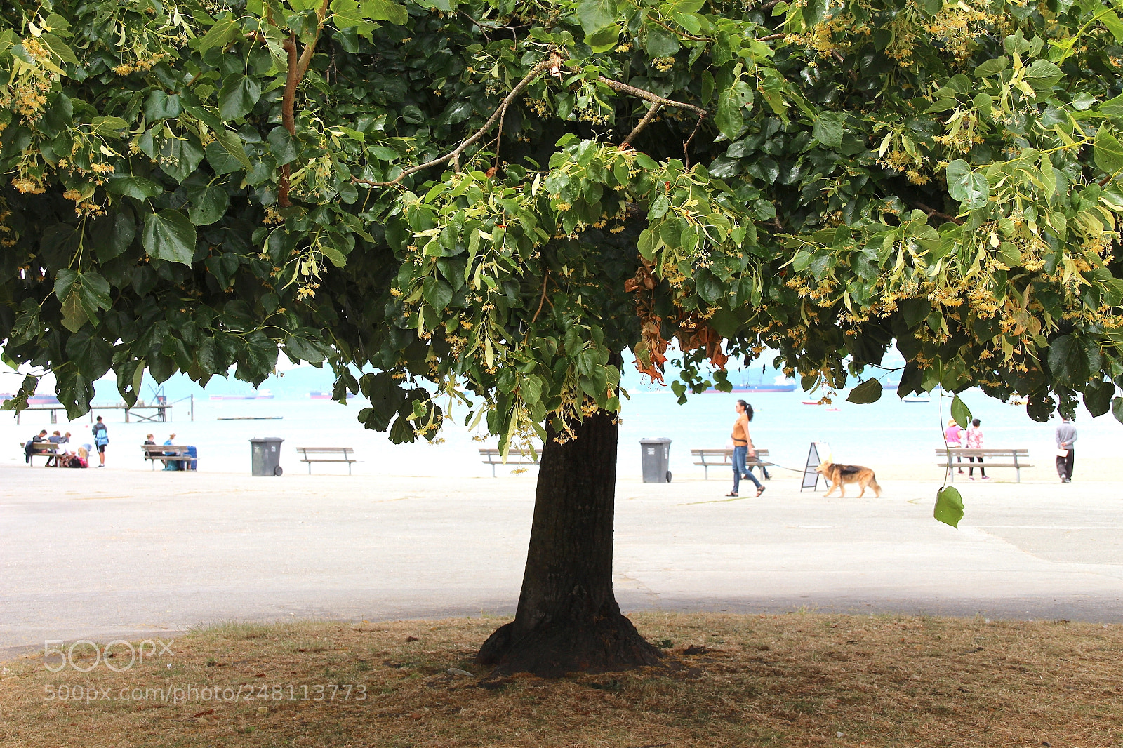Canon EOS 650D (EOS Rebel T4i / EOS Kiss X6i) sample photo. Kit's beach photography