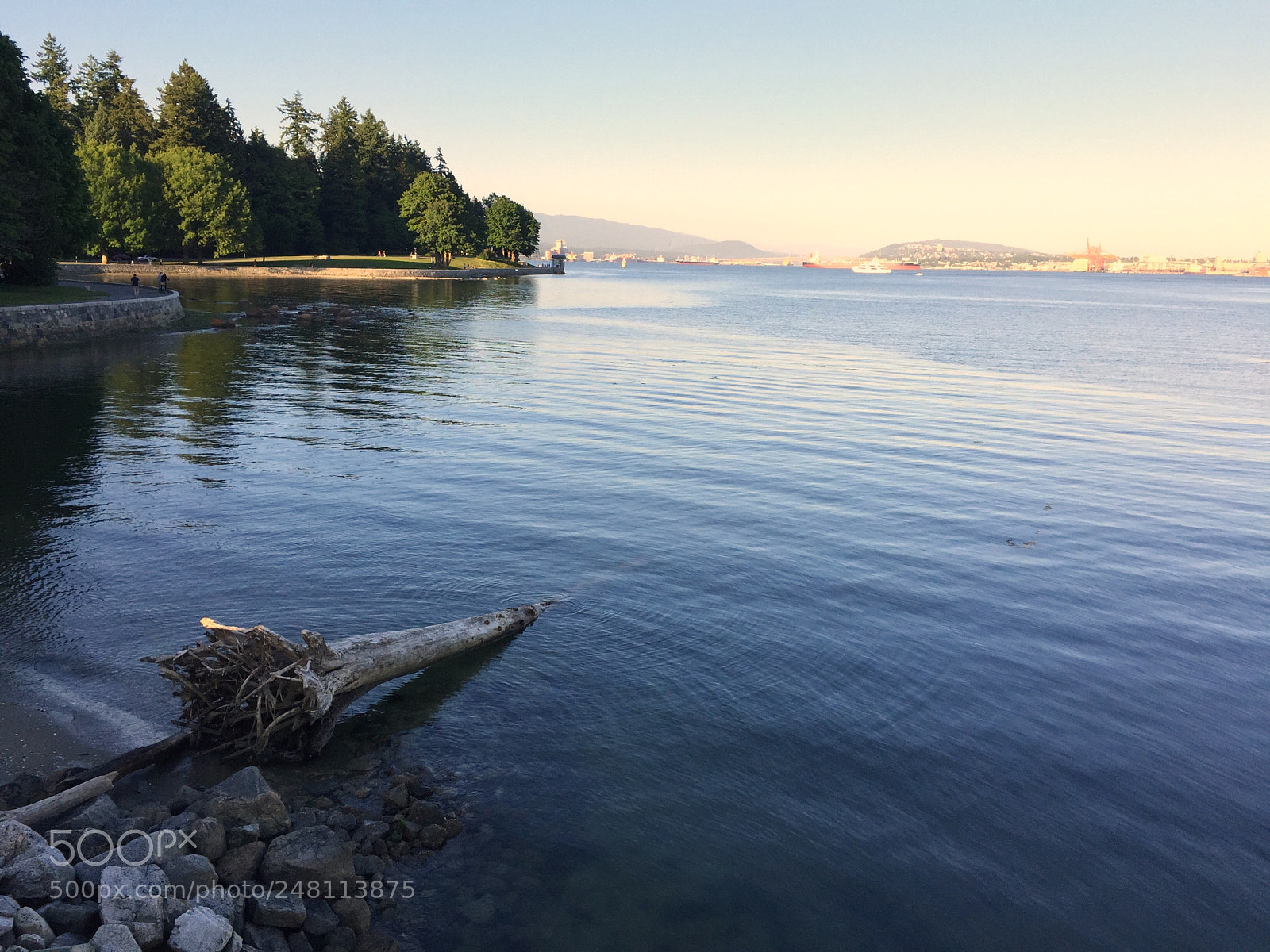 Apple iPhone 6 sample photo. Home photography
