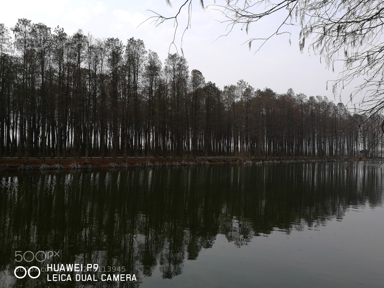 HUAWEI P9 sample photo. Untitled photography