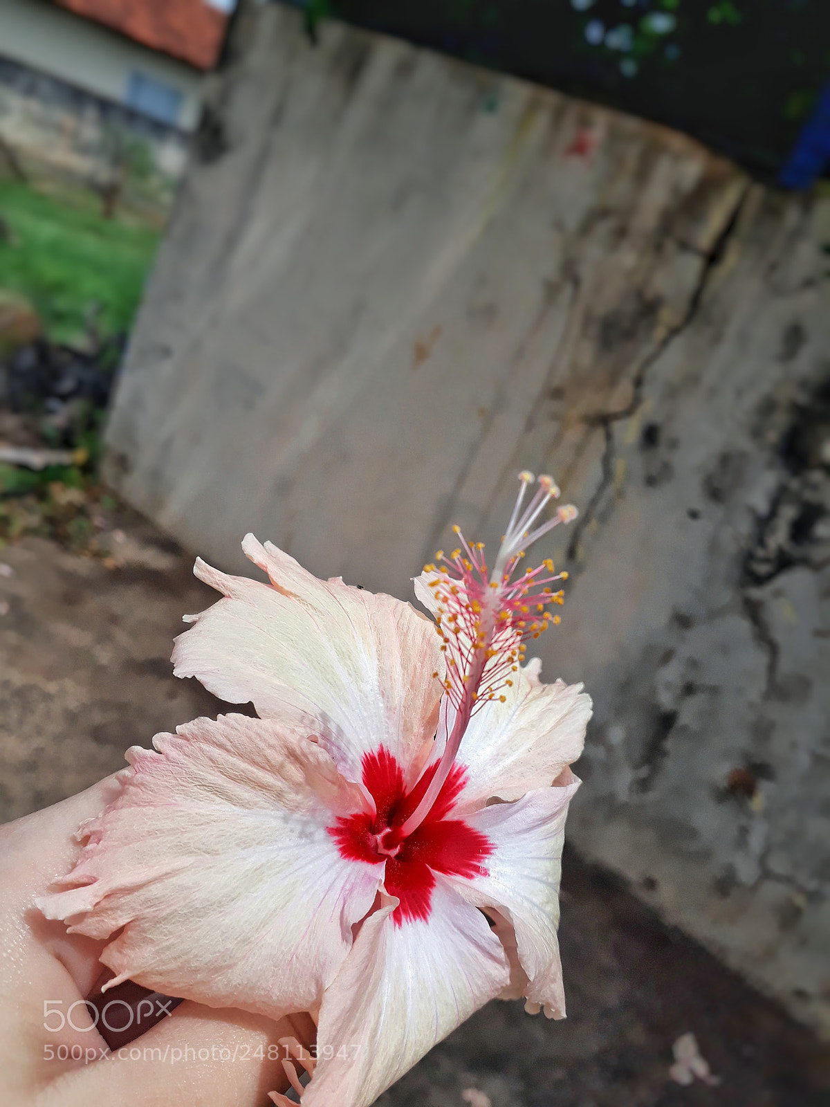 Samsung Galaxy J7 Prime sample photo. Untitled photography