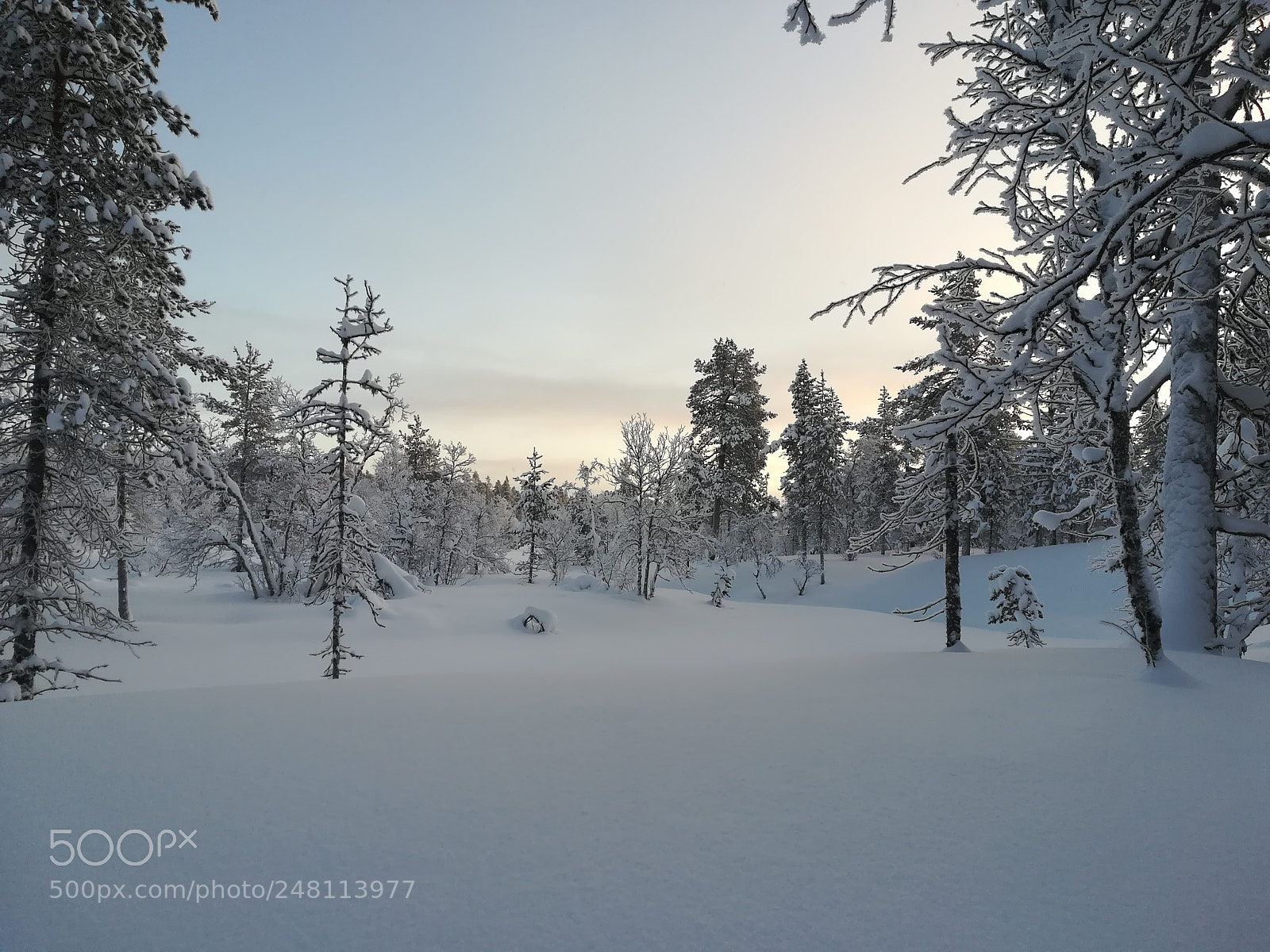 HUAWEI PRA-LX1 sample photo. Snowyforest photography