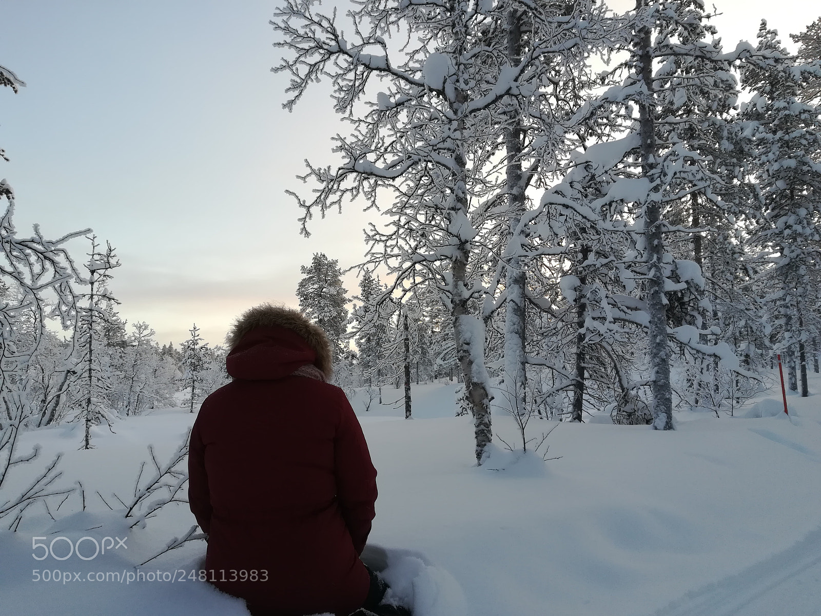 HUAWEI PRA-LX1 sample photo. Girl photography