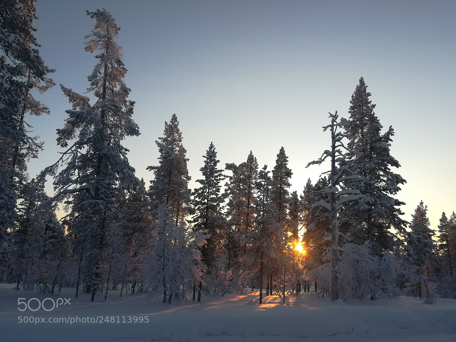 HUAWEI PRA-LX1 sample photo. Sunnysnowday photography