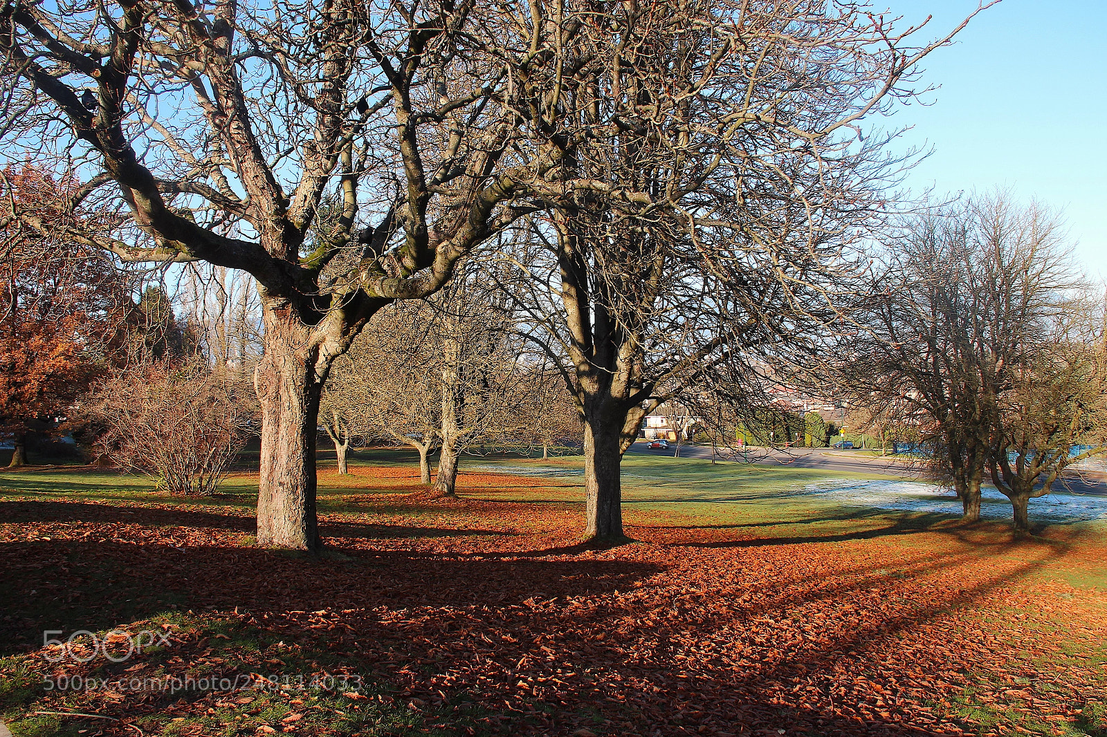 Canon EOS 650D (EOS Rebel T4i / EOS Kiss X6i) sample photo. Qe park photography