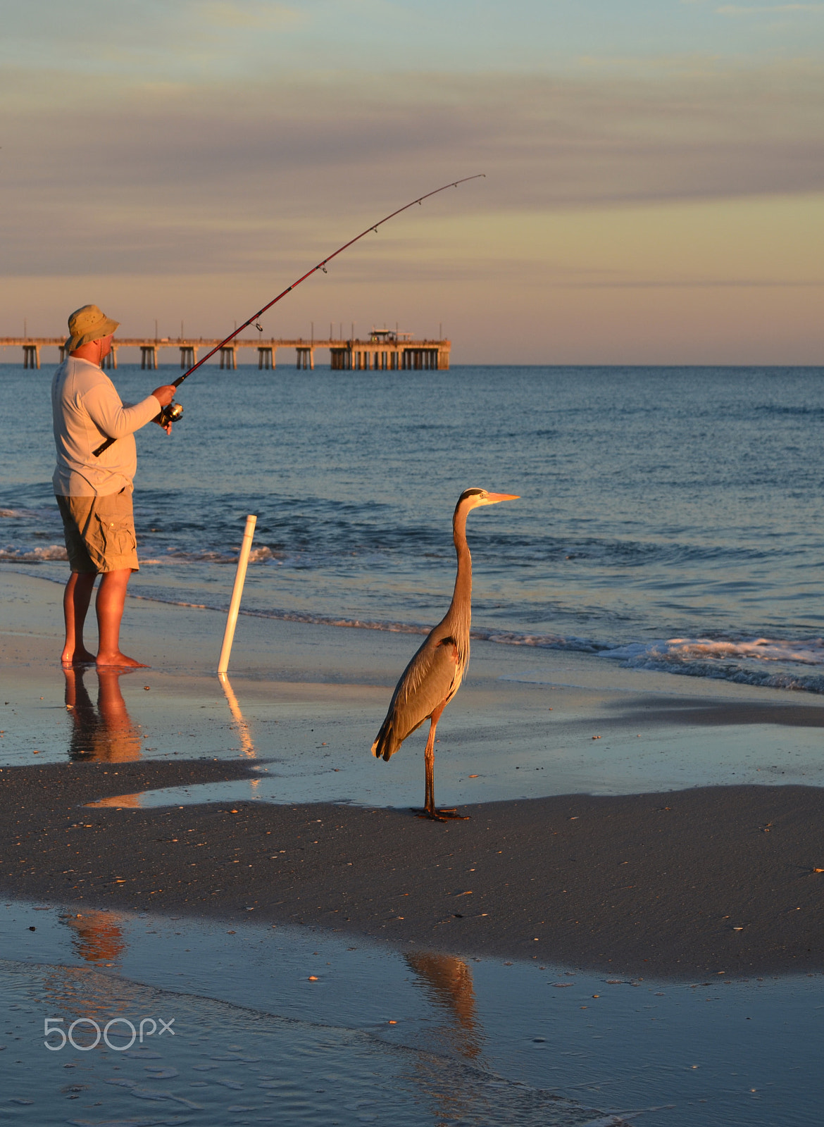 Nikon D5100 sample photo. Fishing buddies photography