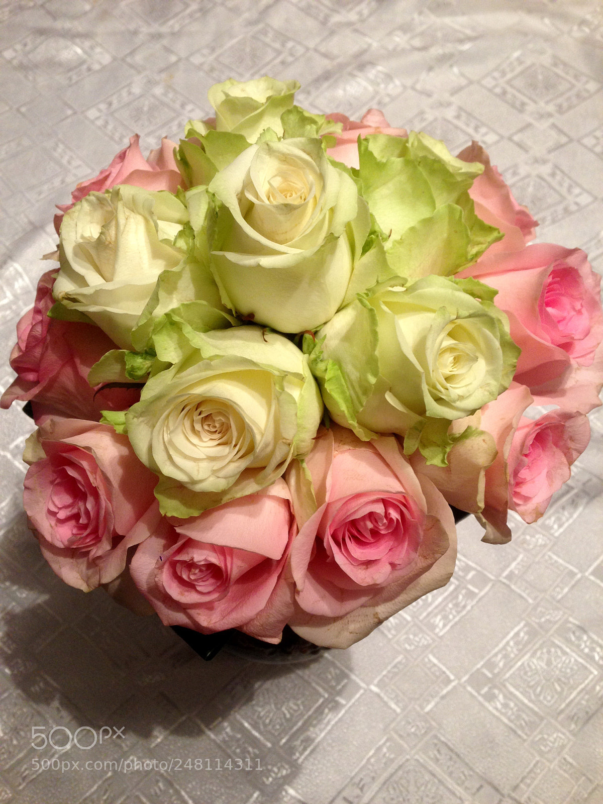 Apple iPhone 5 sample photo. Happy photography