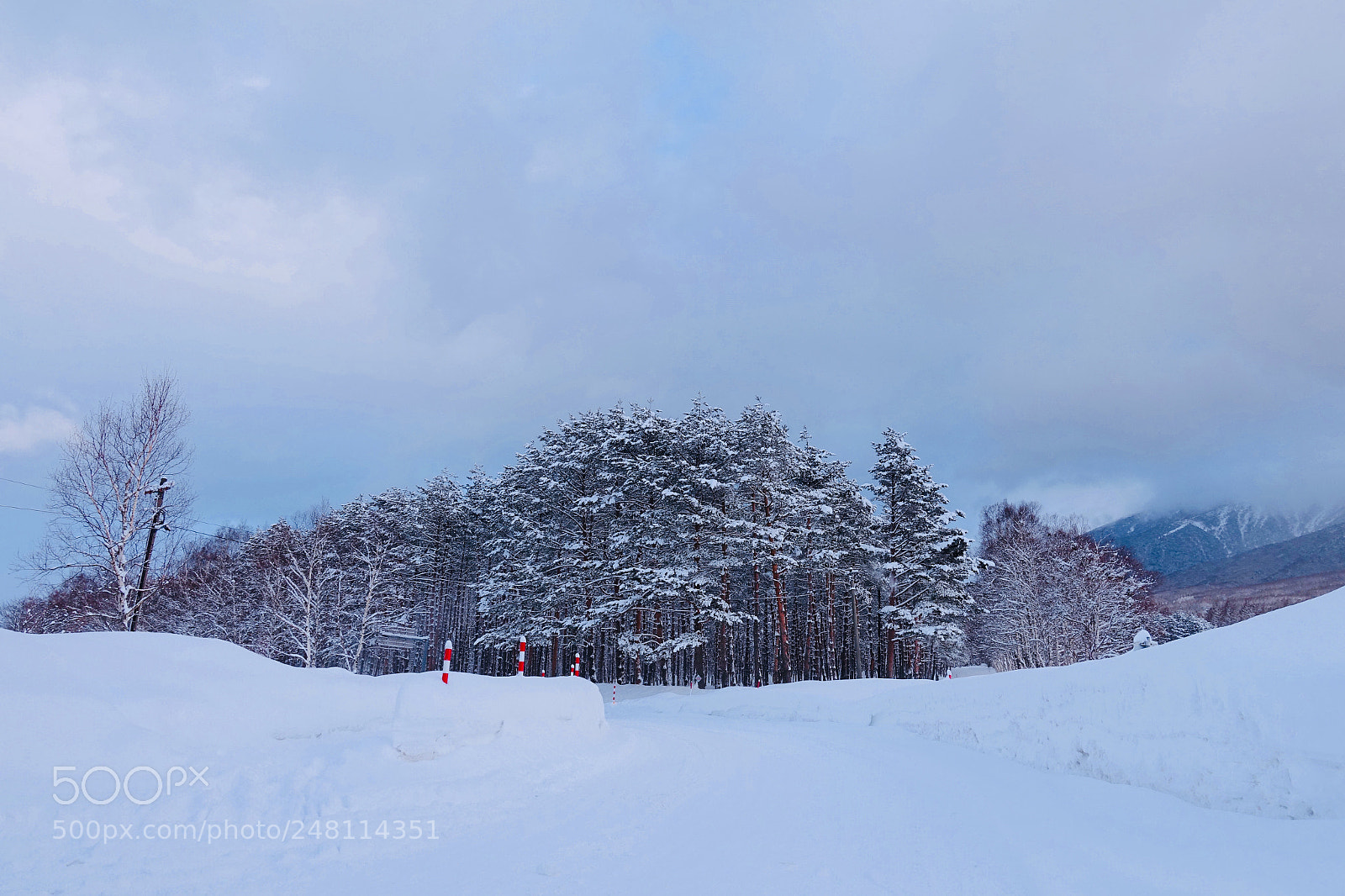 Sony Cyber-shot DSC-RX100 IV sample photo. パラノマ in 八幡平高原 photography