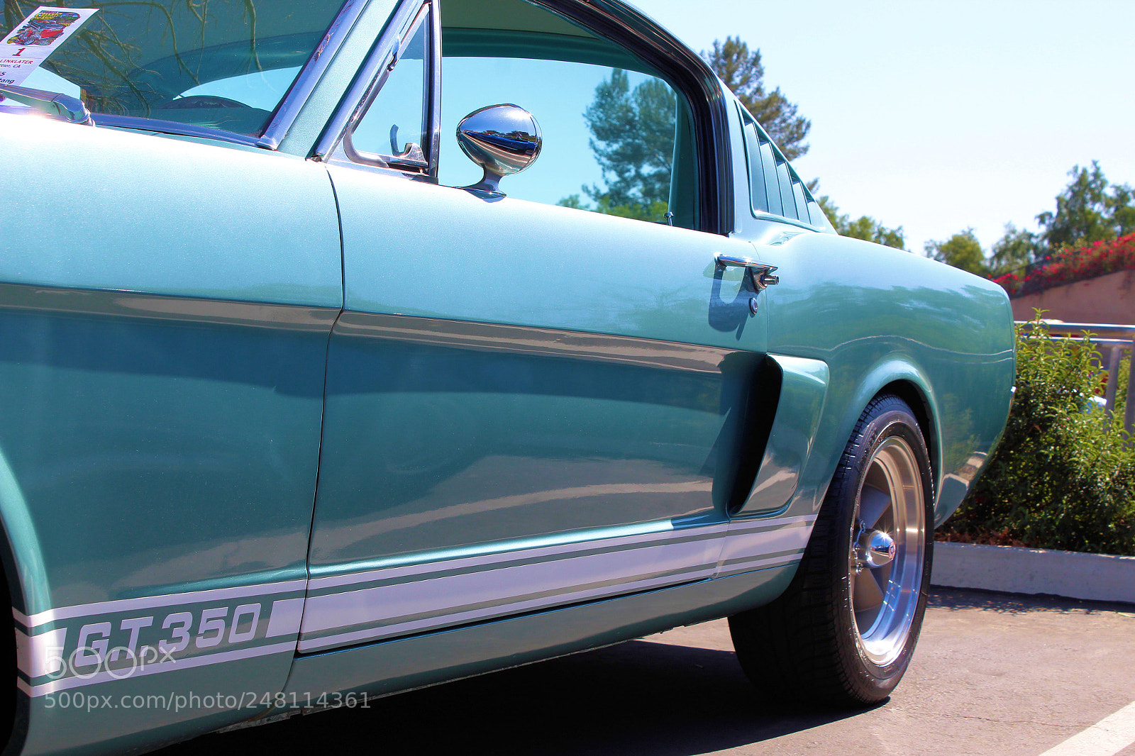 Canon EOS 1300D (EOS Rebel T6 / EOS Kiss X80) sample photo. Mustang photography