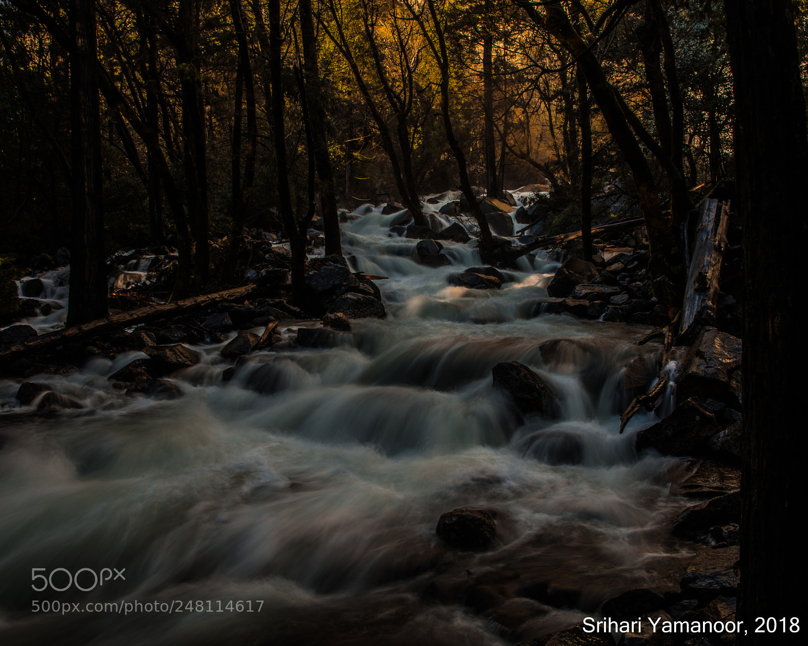 Canon EOS 5DS R sample photo. The force of nature photography