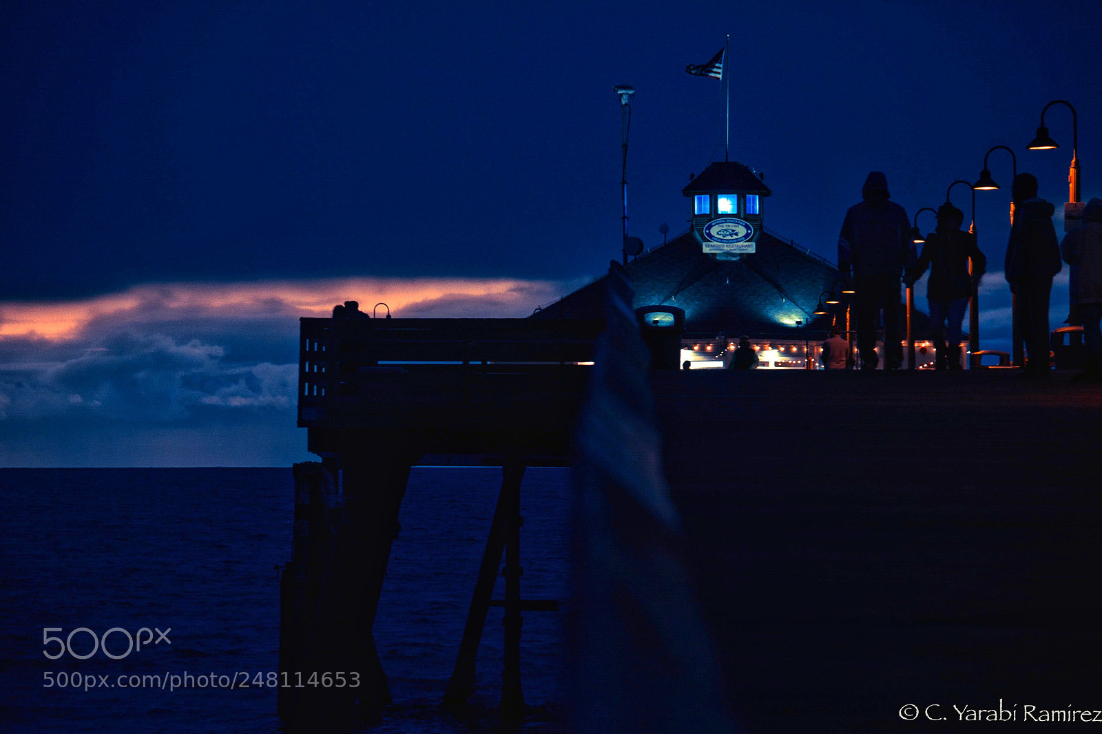 Nikon D5200 sample photo. Blue night photography