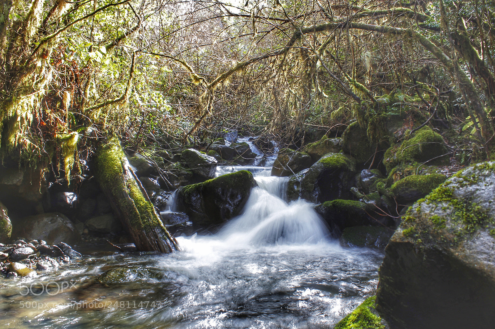 Canon EOS 1300D (EOS Rebel T6 / EOS Kiss X80) sample photo. Sheep pen creek photography