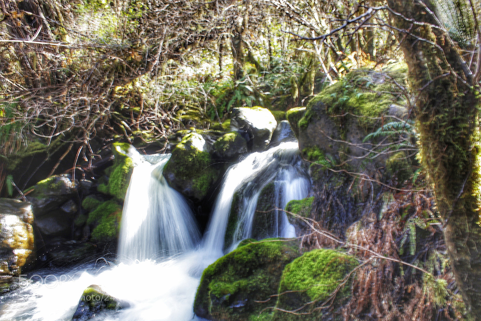 Canon EOS 1300D (EOS Rebel T6 / EOS Kiss X80) sample photo. Sheep pen creek #2 photography