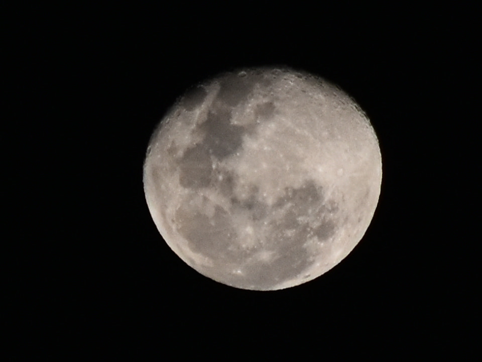 Nikon D3400 sample photo. Moon photography