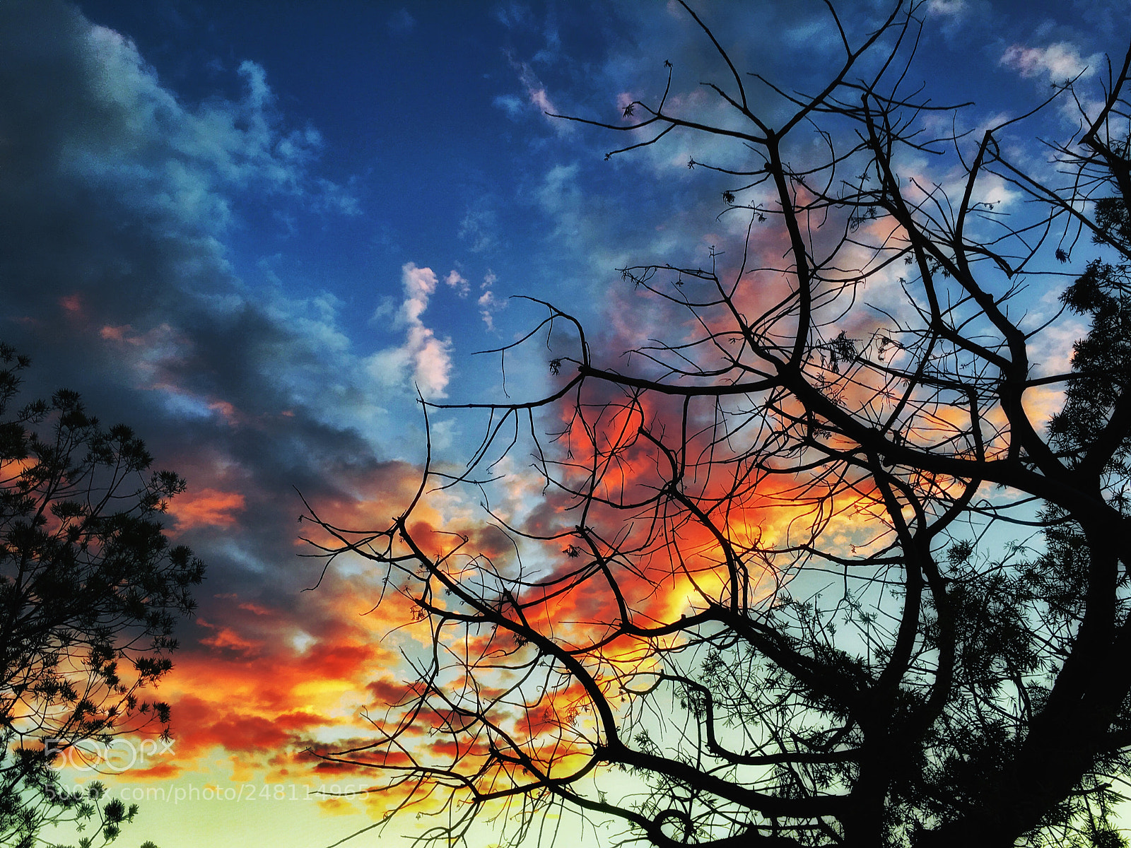 Apple iPhone 6s Plus sample photo. Coloring the sky. photography