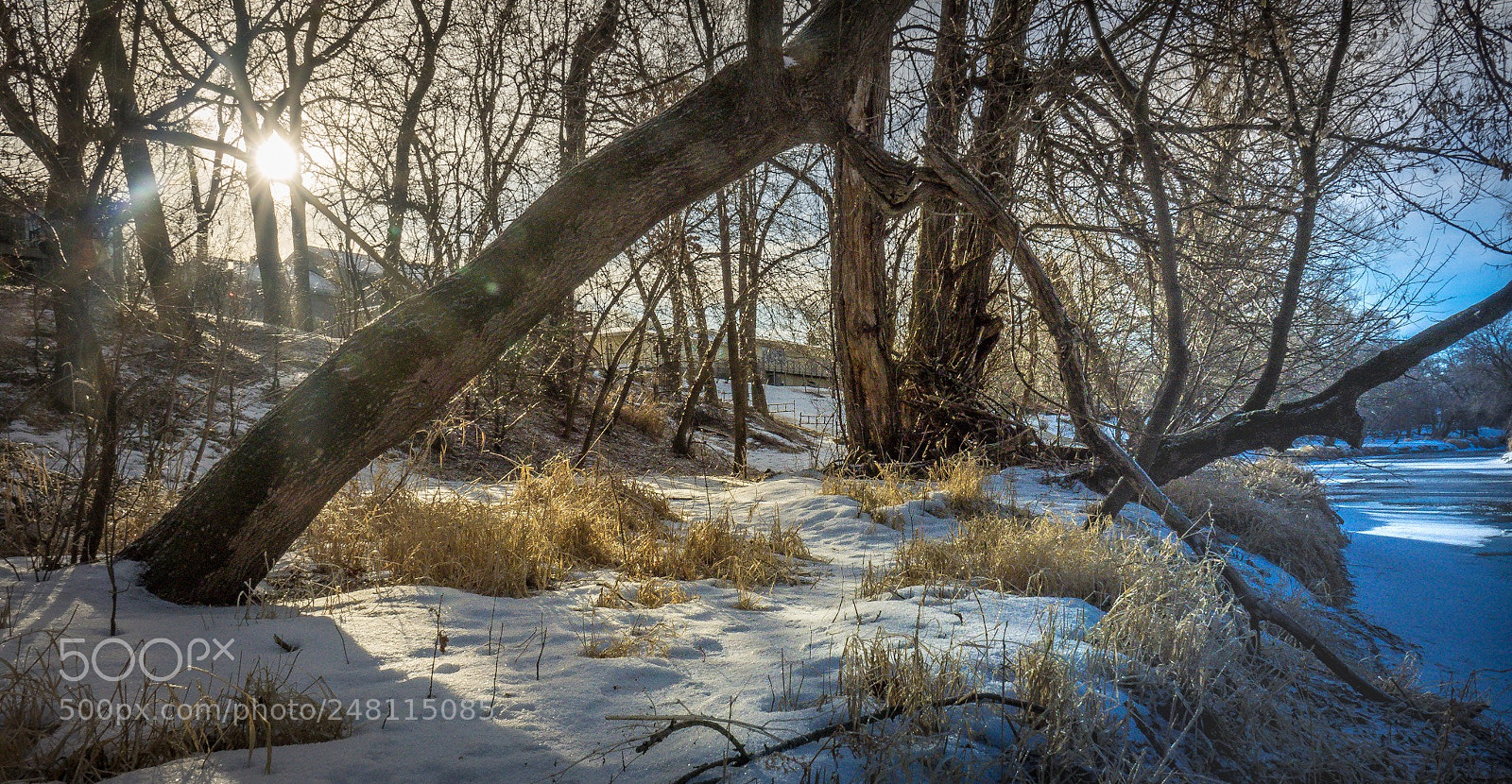 Sony Cyber-shot DSC-RX10 III sample photo. Winter s golden hour photography