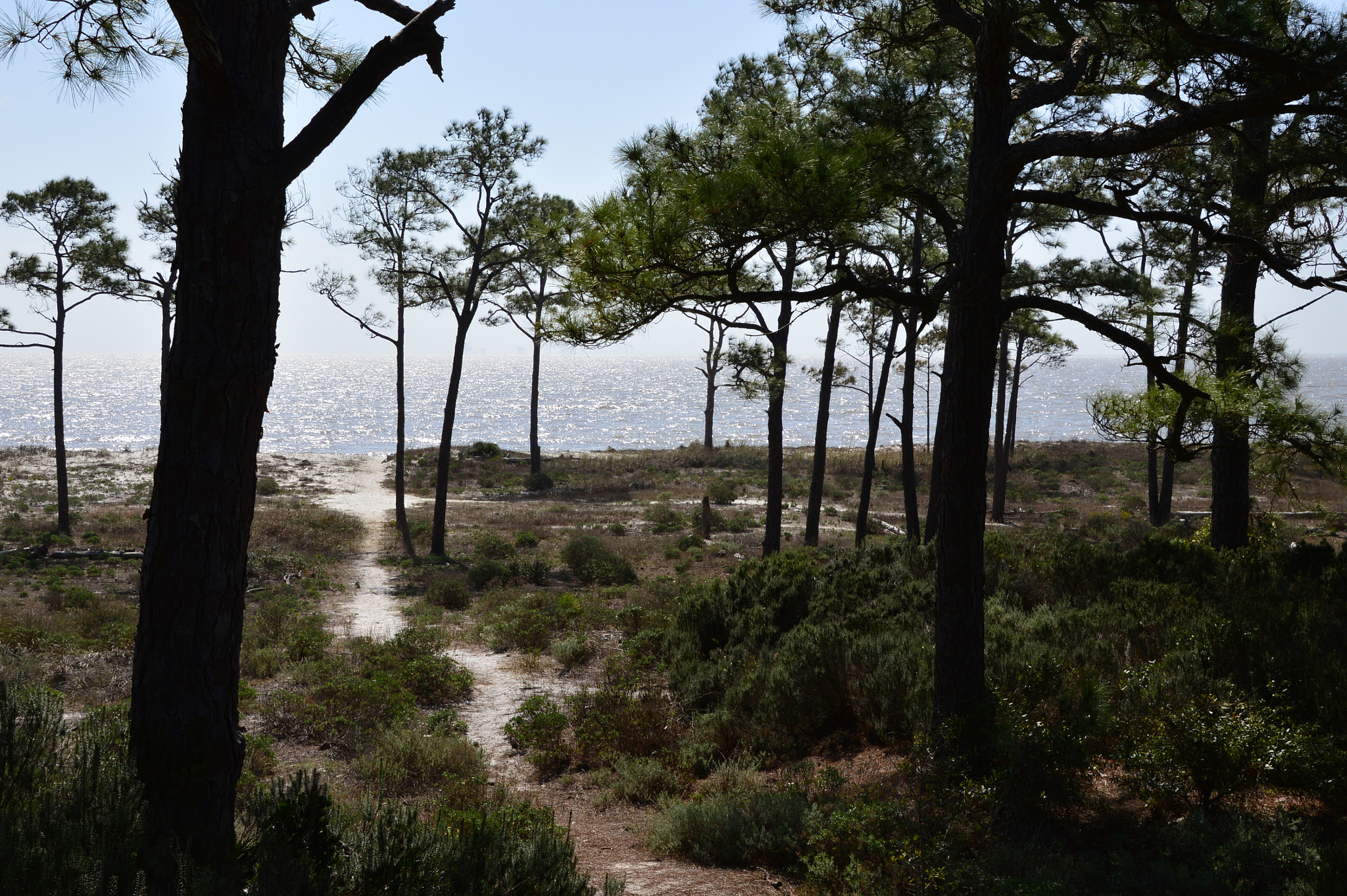 Nikon D3200 sample photo. Trail between two worlds photography