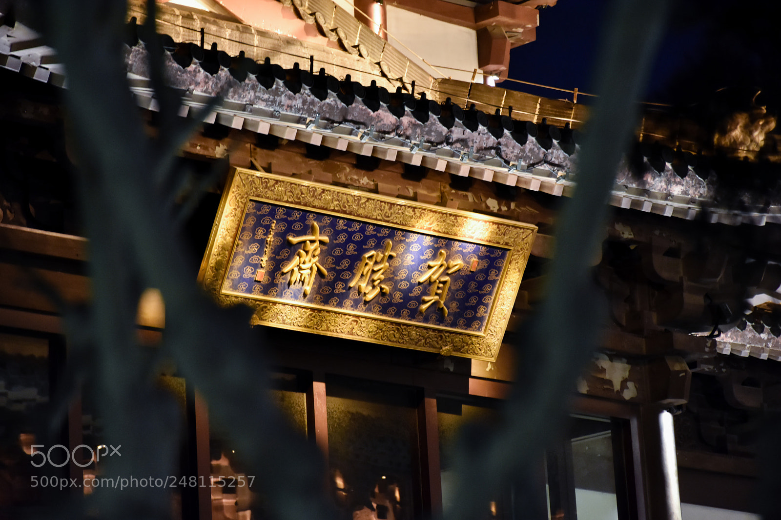 Nikon D7200 sample photo. Untitled photography