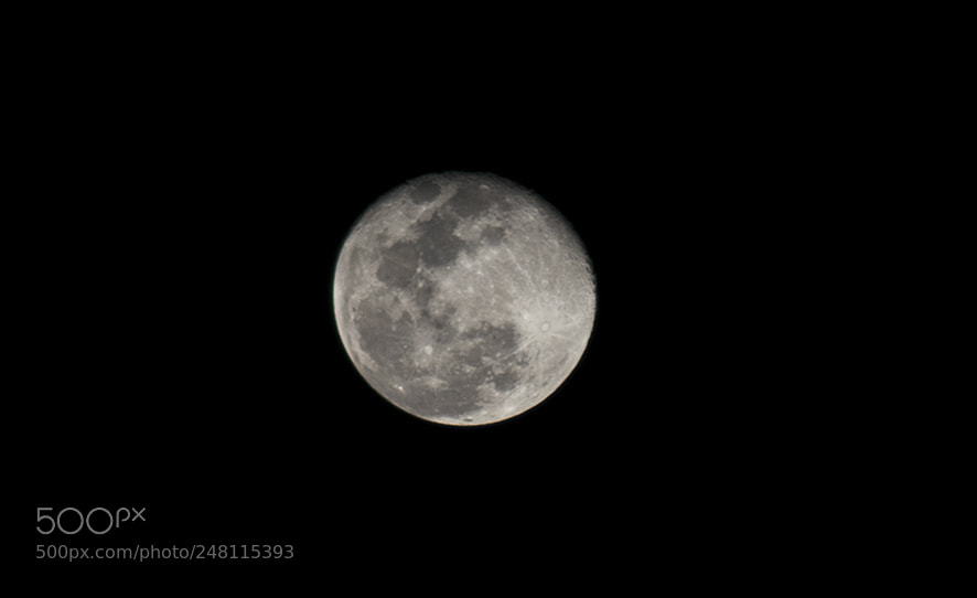 Nikon D3400 sample photo. Full moon photography