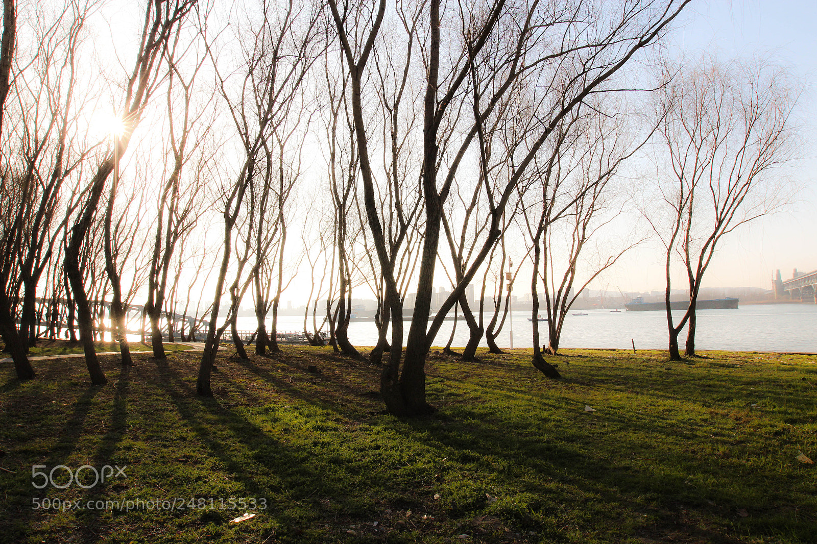 Canon EOS 600D (Rebel EOS T3i / EOS Kiss X5) sample photo. Nanjing photography