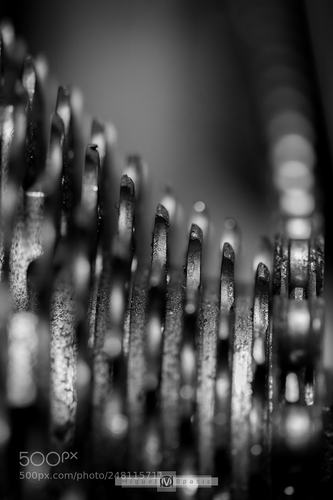 Nikon D850 sample photo. Cassette photography