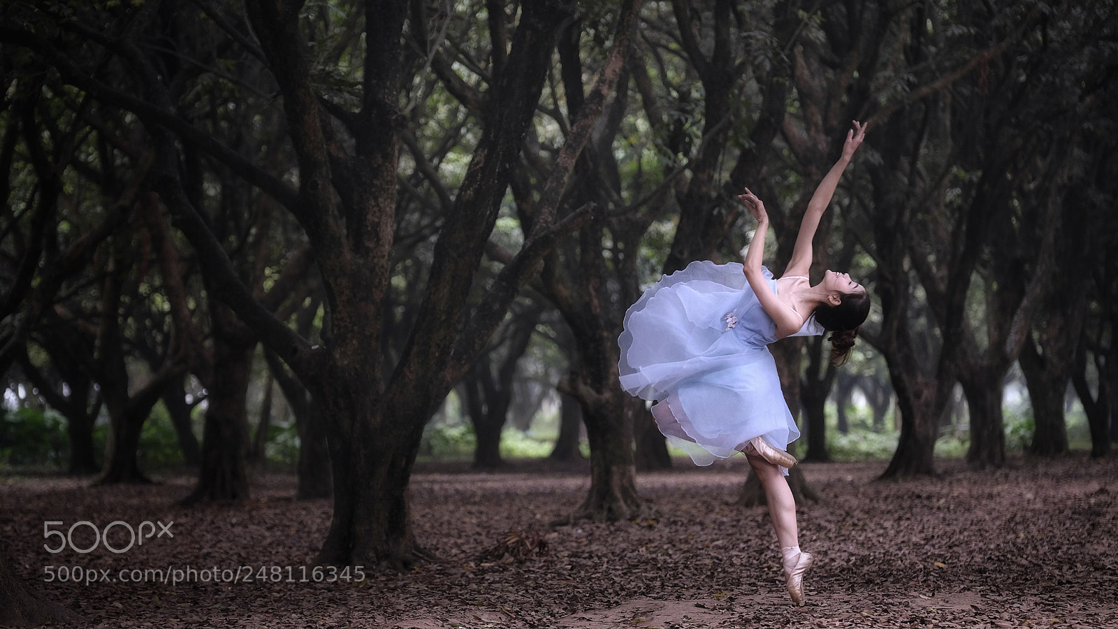 Fujifilm X-T20 sample photo. Untitled photography