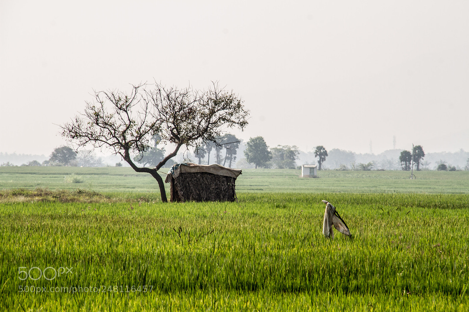 Canon EOS 7D sample photo. Nature home photography