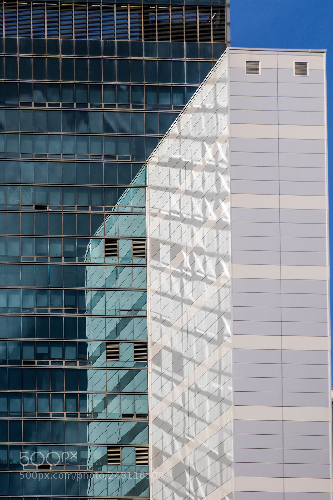 Canon EOS 750D (EOS Rebel T6i / EOS Kiss X8i) sample photo. Img photography