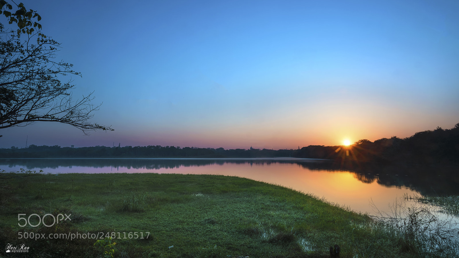 Nikon D810 sample photo. Morning colors.. photography