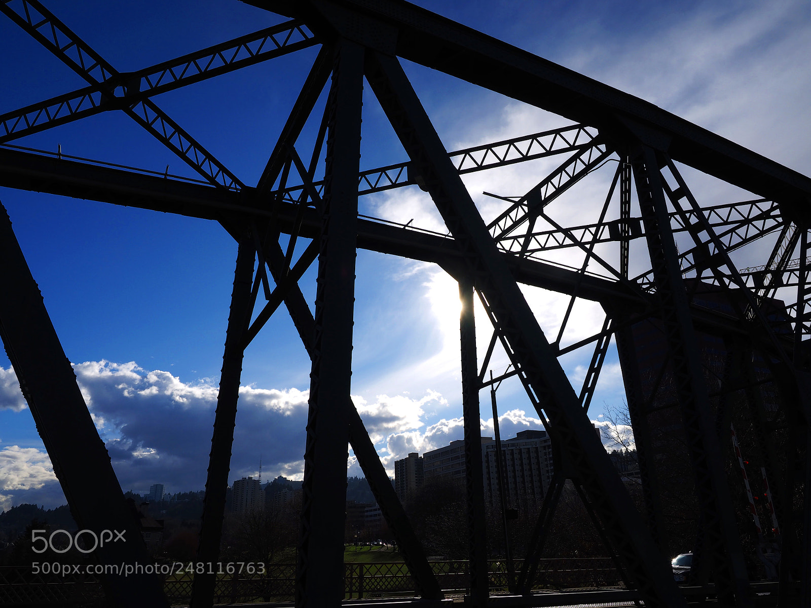 Olympus OM-D E-M1 sample photo. Bridge photography