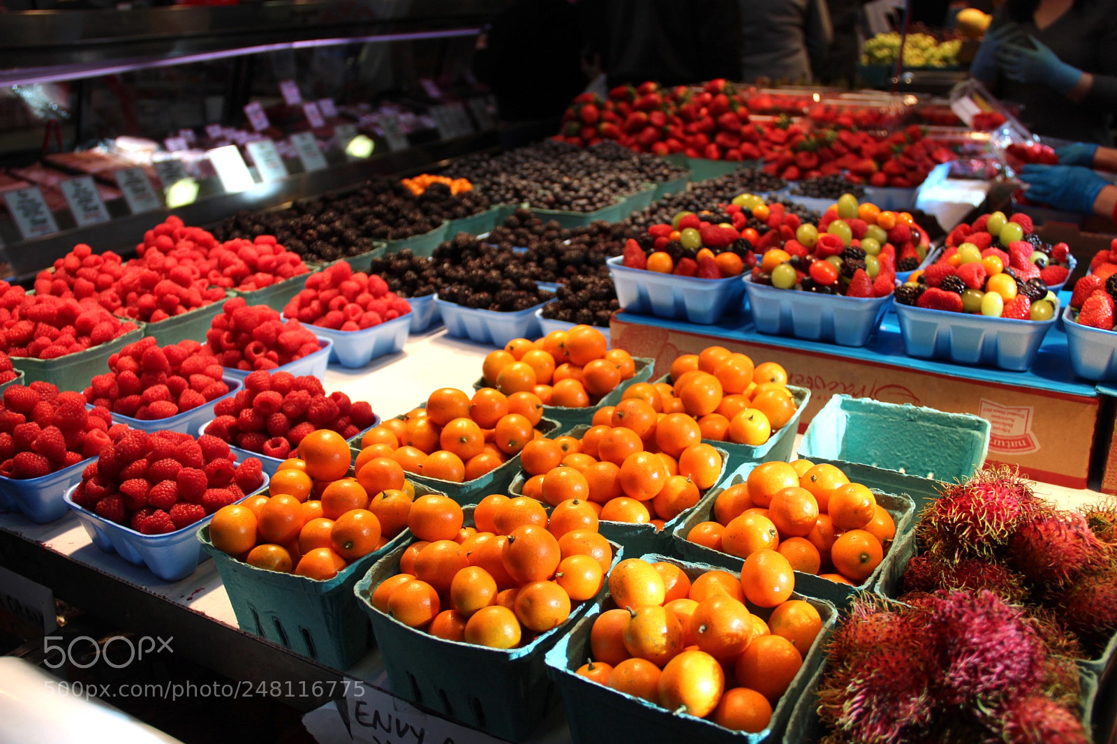 Canon EOS 650D (EOS Rebel T4i / EOS Kiss X6i) sample photo. Fresh photography