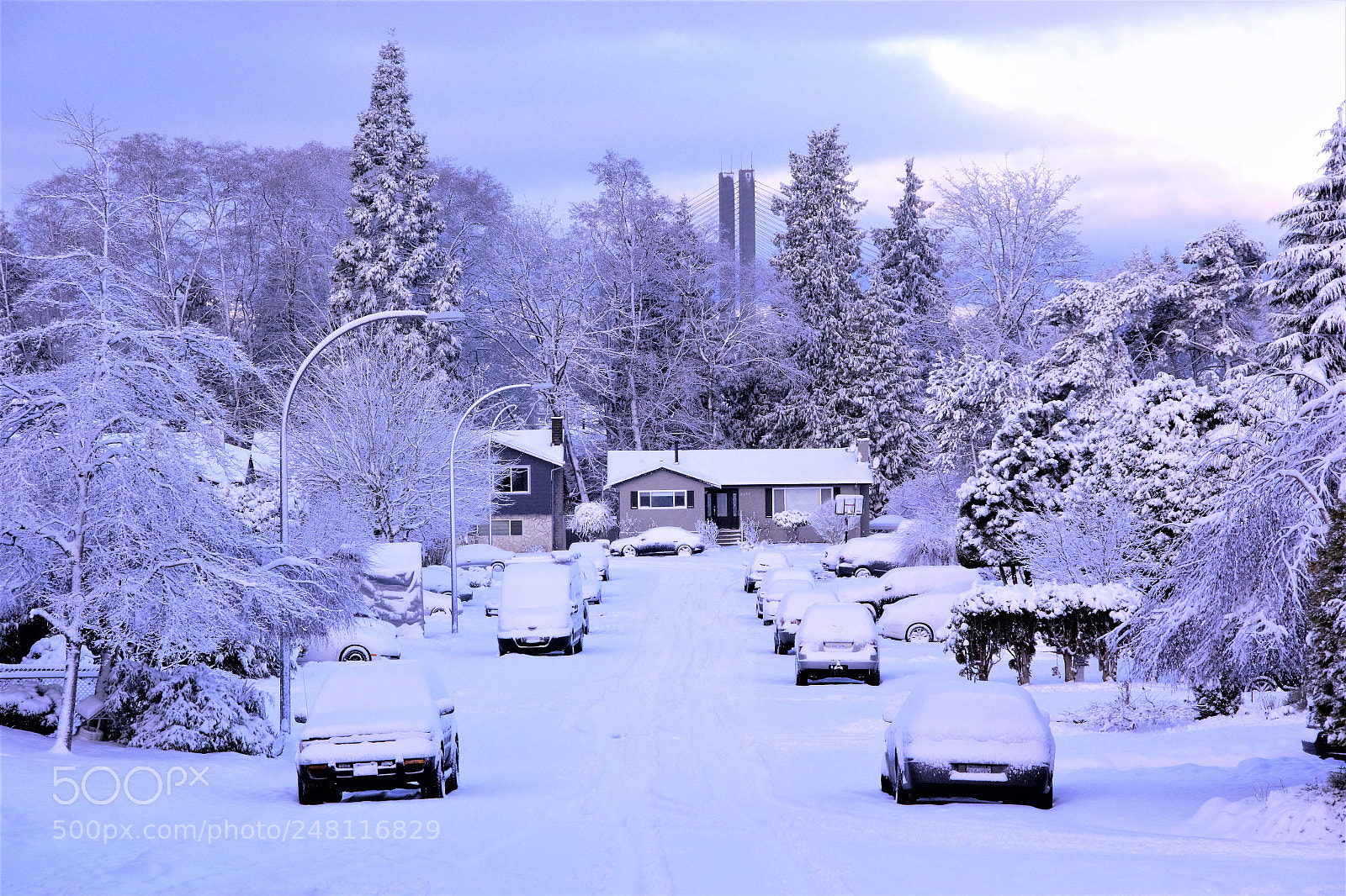 Canon EOS 60D sample photo. One more snow day photography