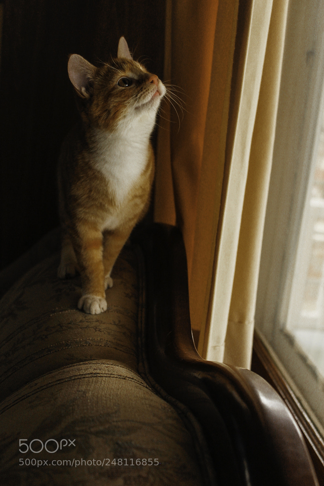 Canon EOS 1200D (EOS Rebel T5 / EOS Kiss X70 / EOS Hi) sample photo. Mimi photography