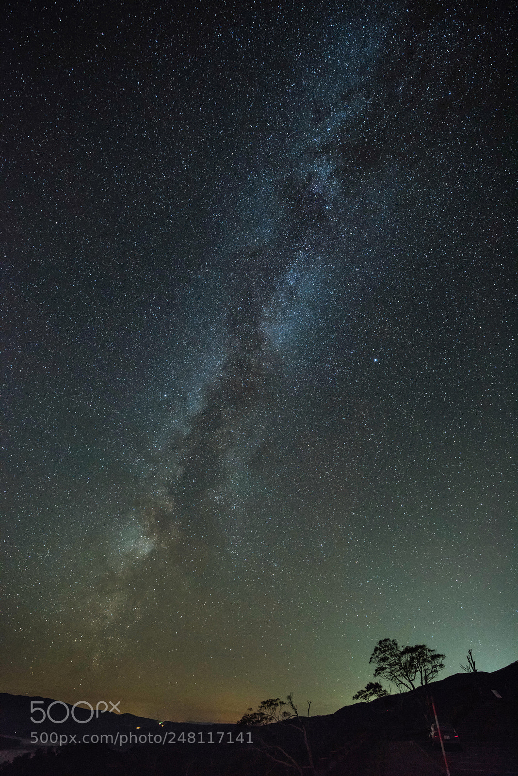 Nikon D810 sample photo. Untitled photography
