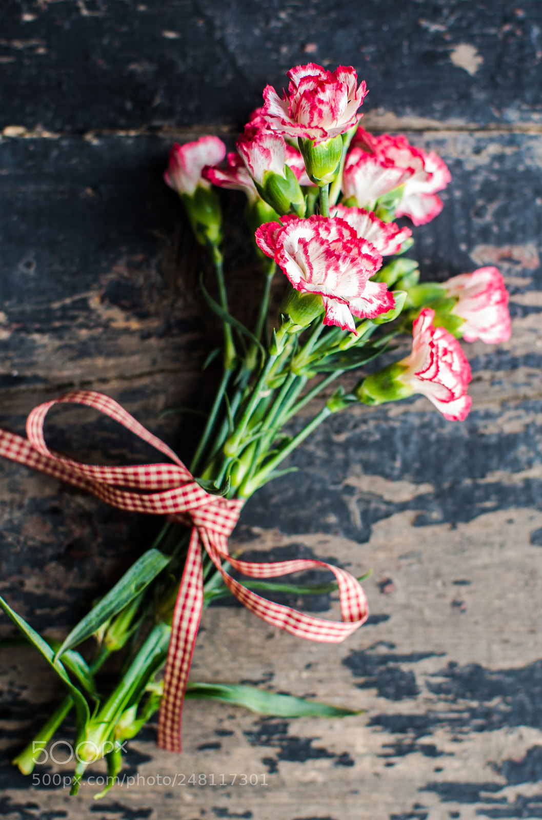Nikon D610 sample photo. Festive frame with carnation photography