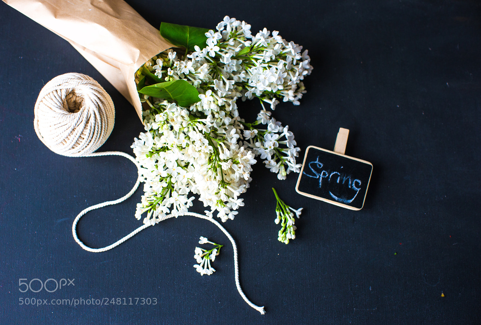 Nikon D610 sample photo. Spring concept with white photography