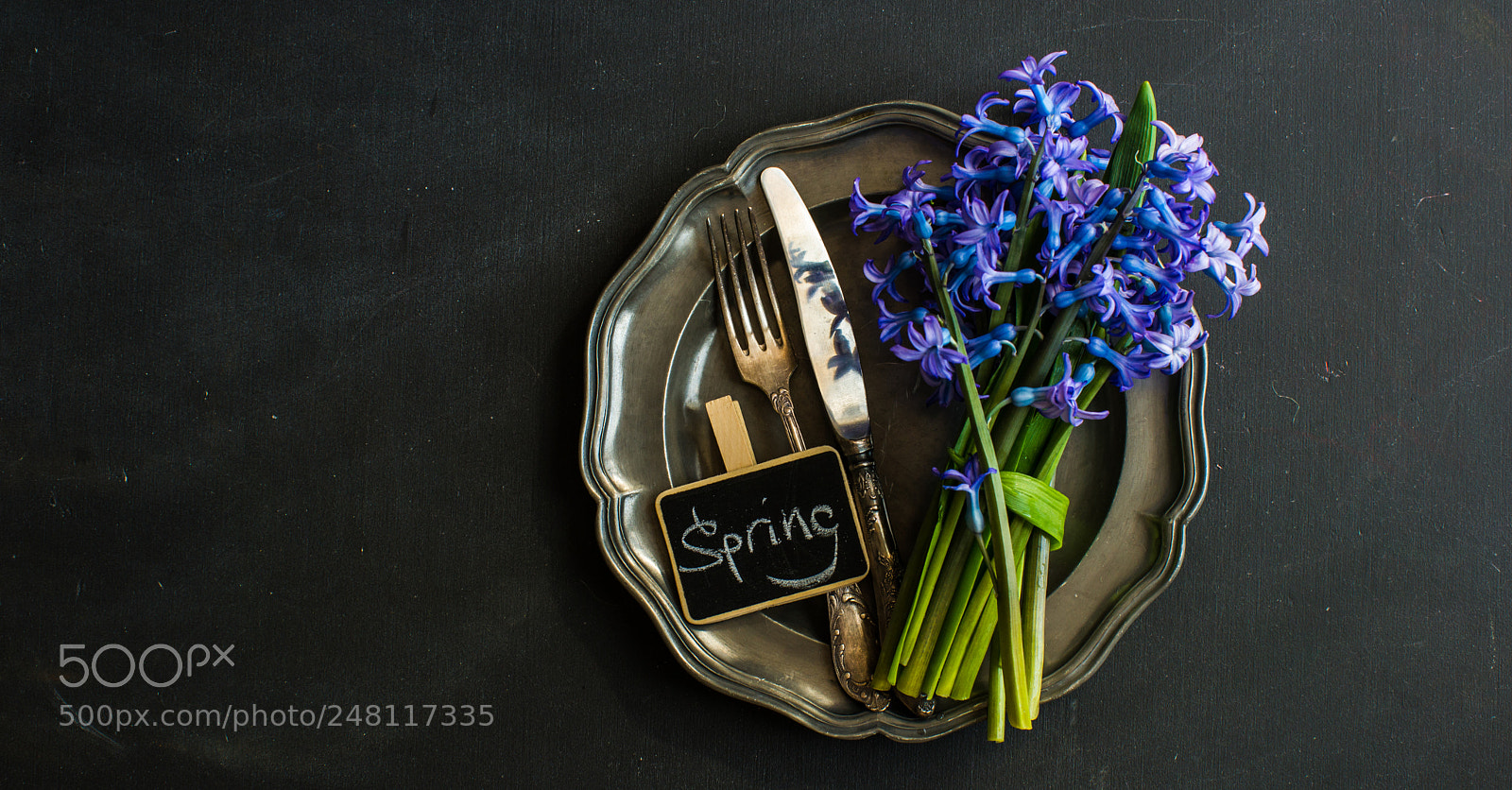 Nikon D610 sample photo. Spring concept with hyacinth photography