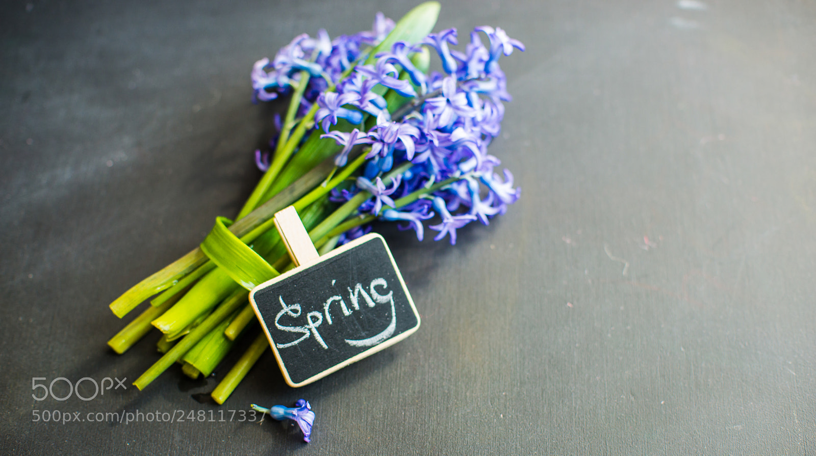 Nikon D610 sample photo. Spring concept with hyacinth photography