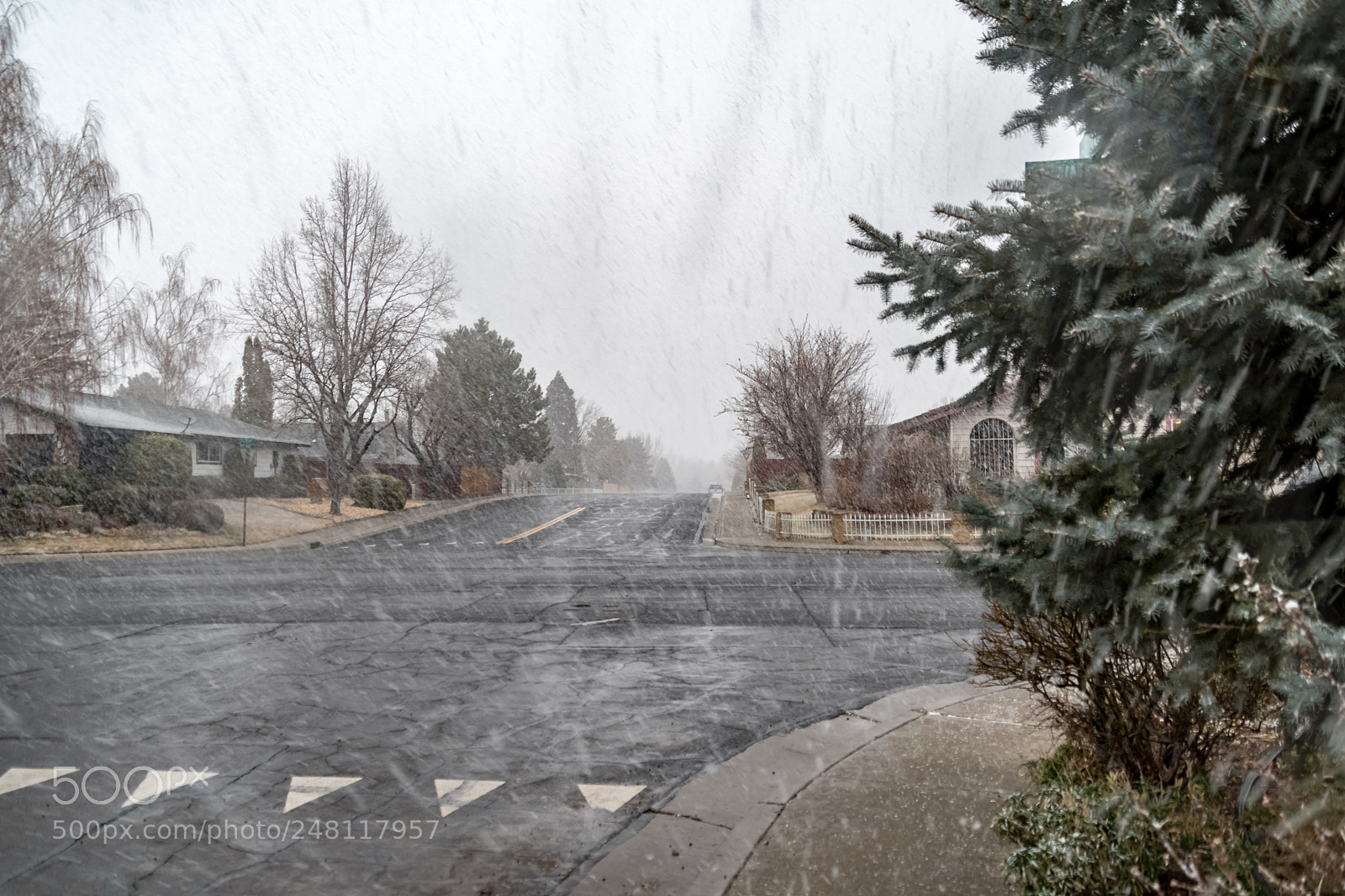 Nikon D500 sample photo. It's snowing! photography
