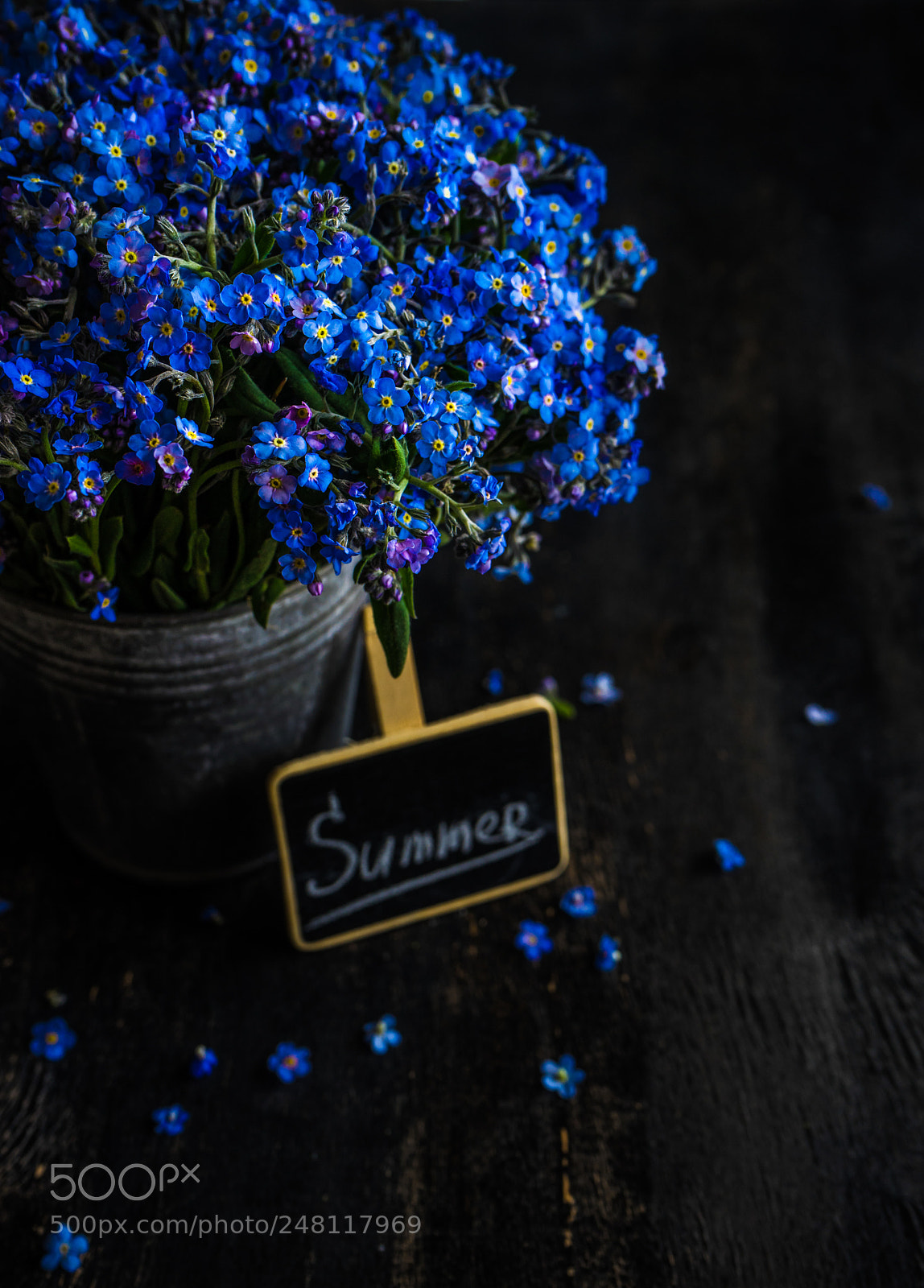 Sony a7 sample photo. Summer time concept photography