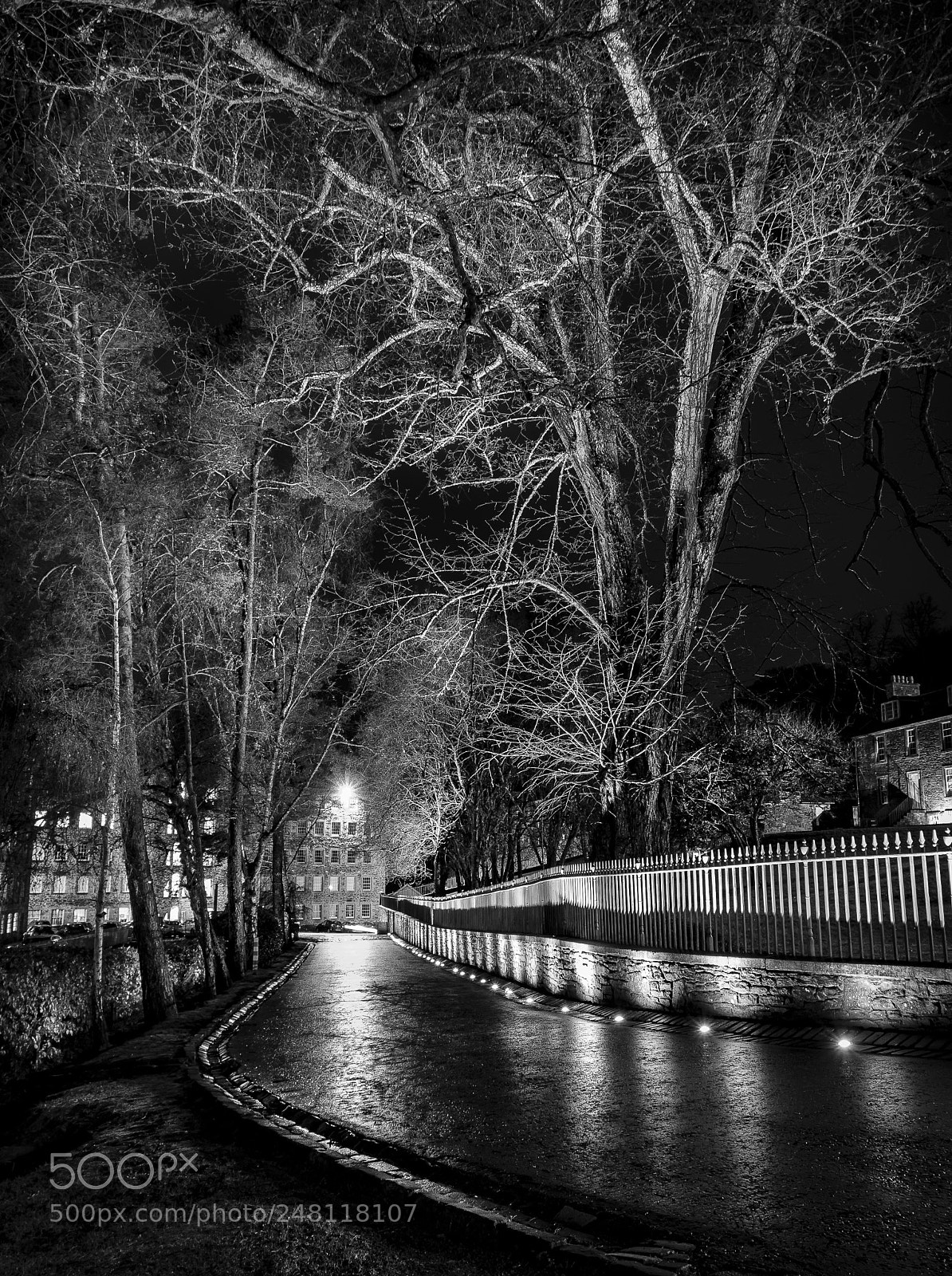 Sony a7 II sample photo. Dsc photography