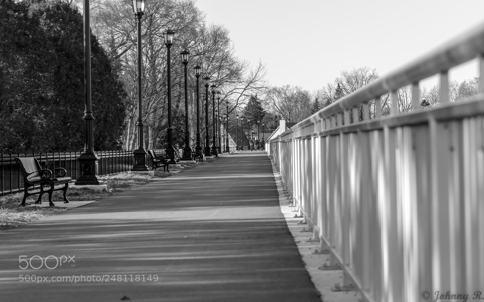 Nikon D5600 sample photo. Empty benches photography