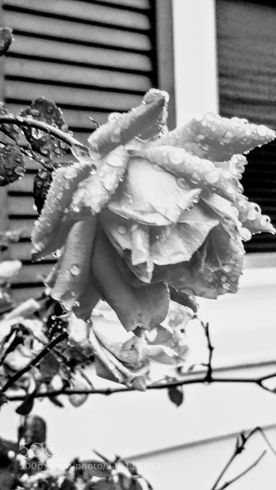 LG G5 sample photo. Untitled photography