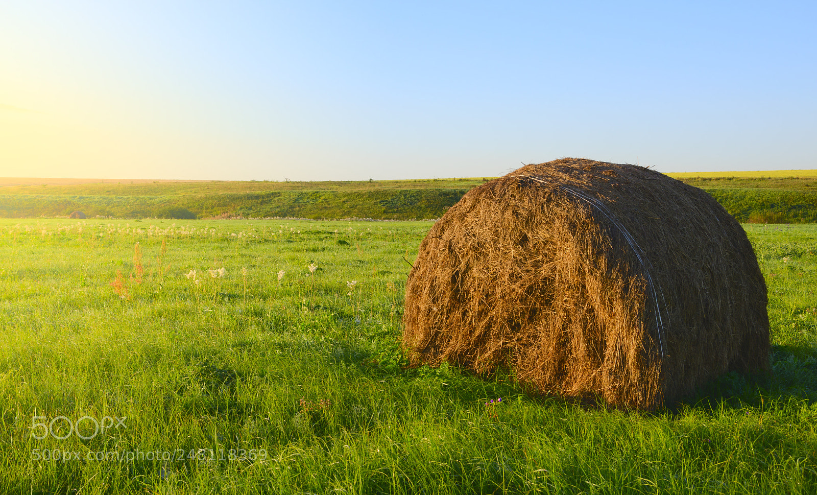 Nikon D5100 sample photo. Straw bale photography