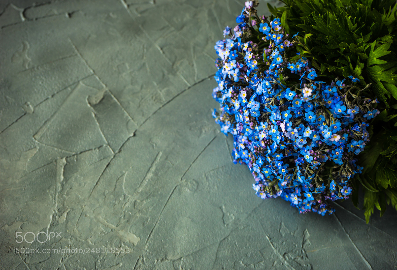 Sony a7 sample photo. Summer time concept photography