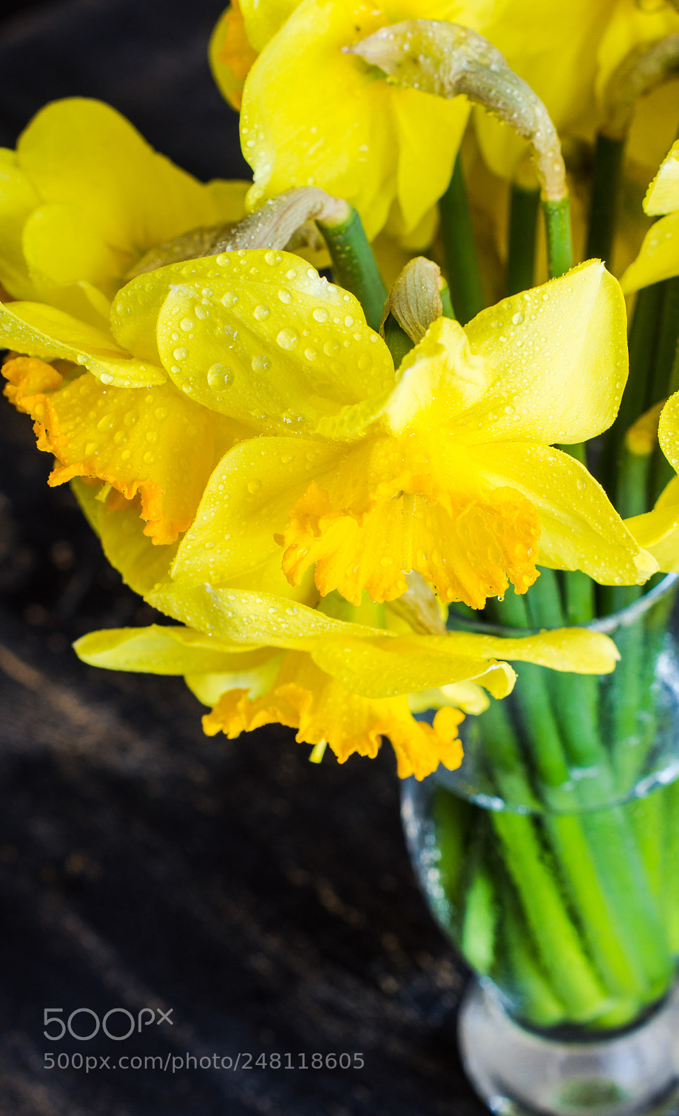 Sony SLT-A55 (SLT-A55V) sample photo. Spring concept with bright photography