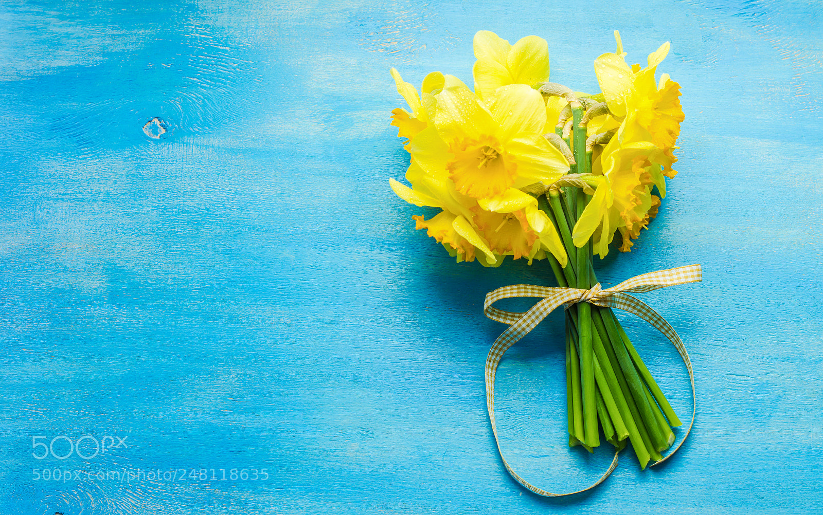 Sony SLT-A55 (SLT-A55V) sample photo. Spring concept with bright photography
