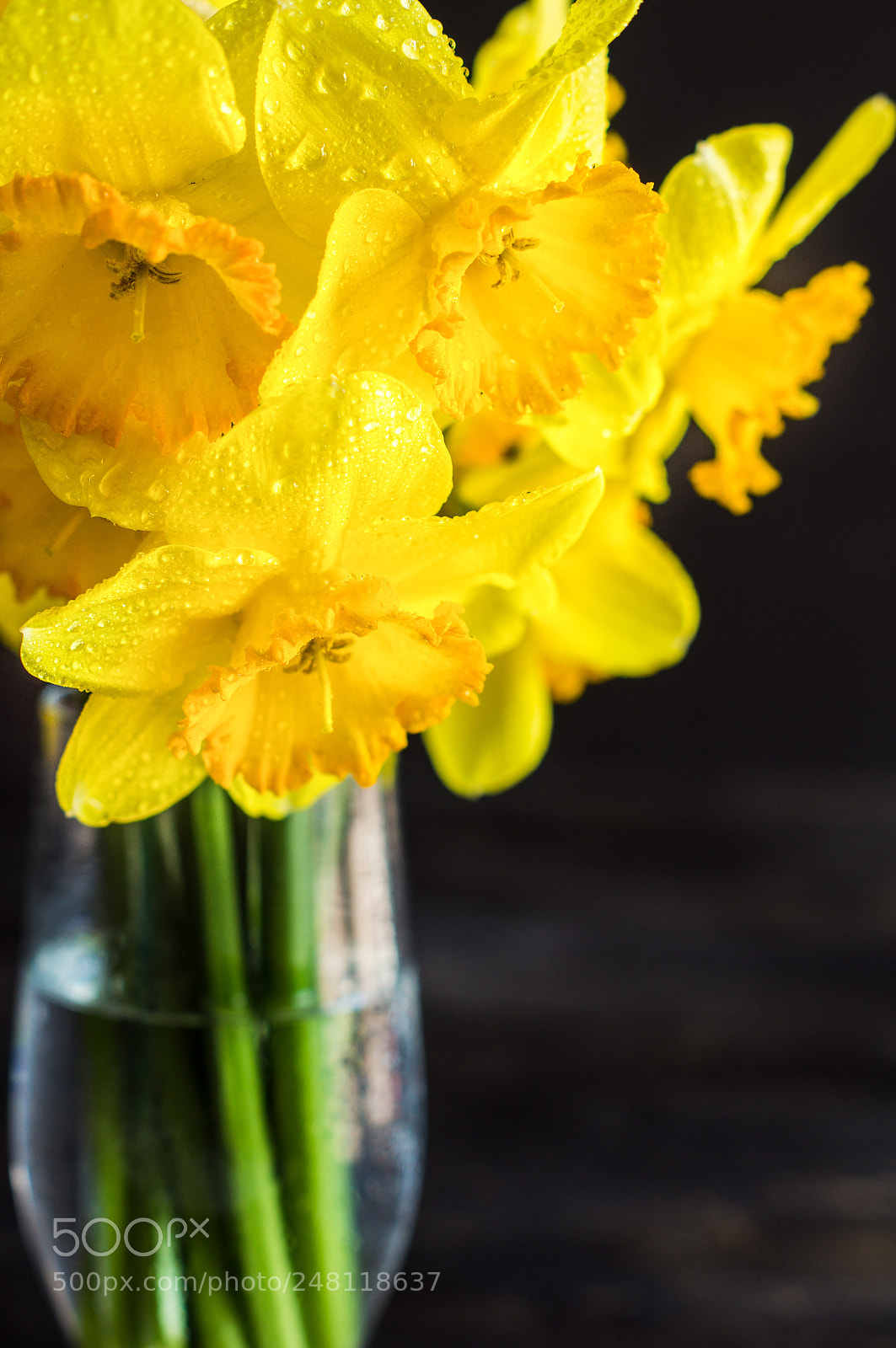 Sony SLT-A55 (SLT-A55V) sample photo. Spring concept with bright photography