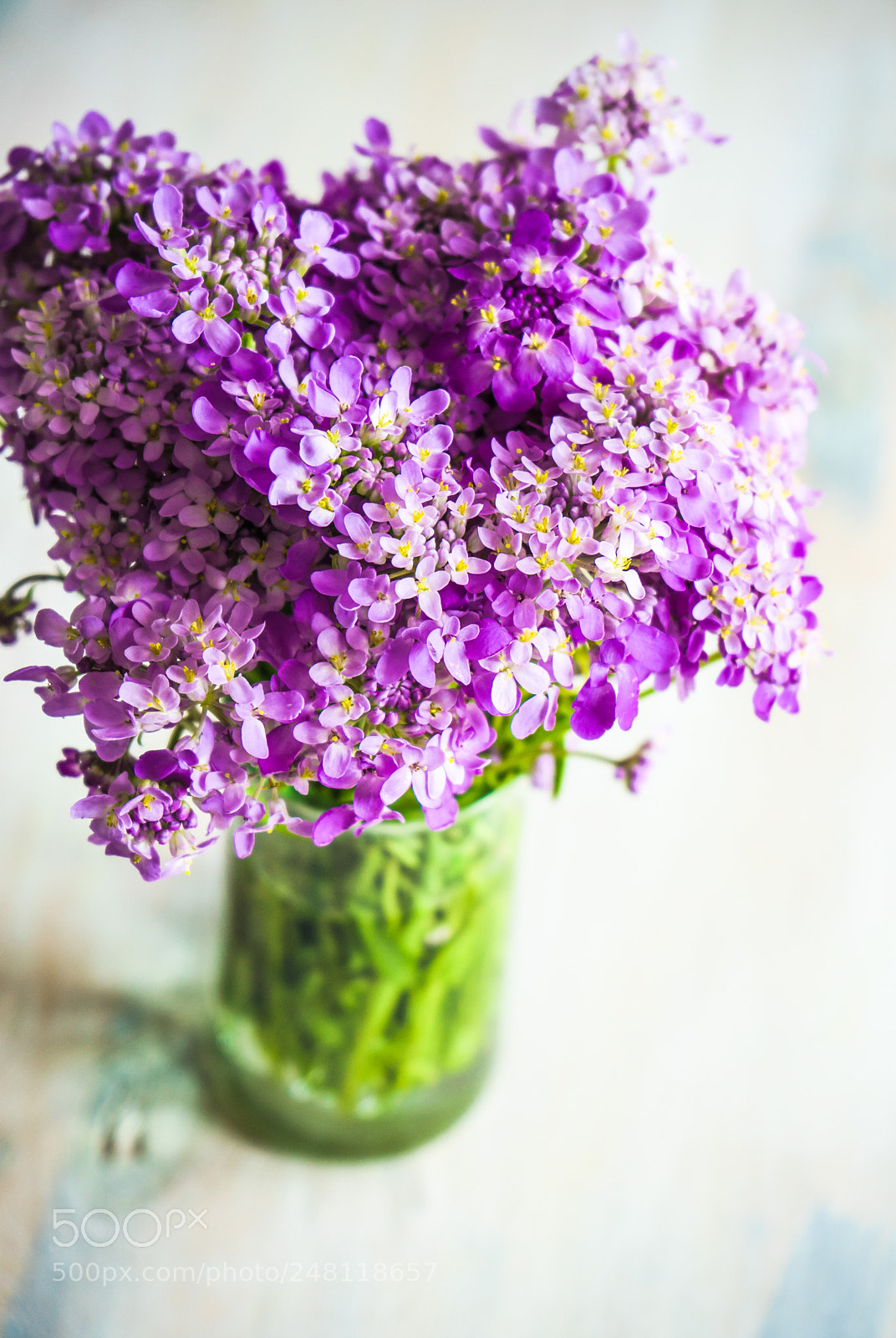 Sony a7 sample photo. Summer table setting photography